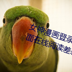 女神漫(màn)画登录页(yè)面免(miǎn)费(fèi)漫画入口页面在(zài)线阅读差差(chà)漫画