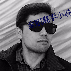 全職高手小說