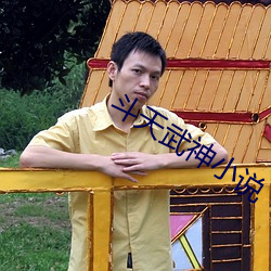 鬥天武神小說