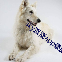 sky直播app最新下载
