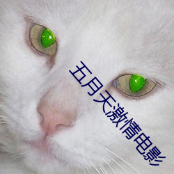五月天(天)激(激)情电影