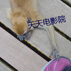天天电影院