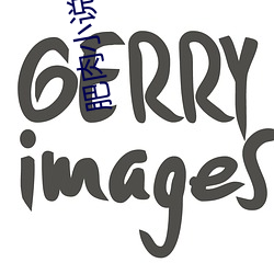 肥肉小说