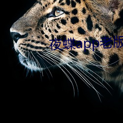 金年会(中国)官方网站