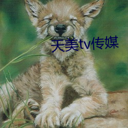 天美tv传媒 （大片儿）
