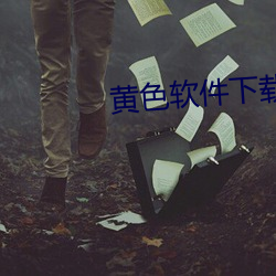 黄色(色)软件(件)下载日(日)本