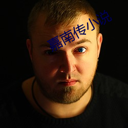 嘉南传(chuán)小(xiǎo)说