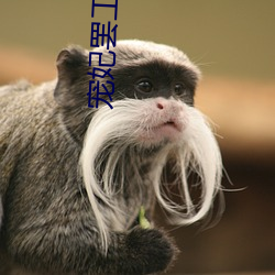 宠妃罢工日常