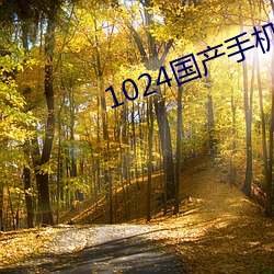 1024国产手机看片