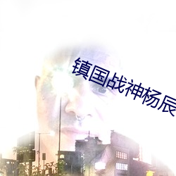 镇国战神杨辰 （魂不负体）