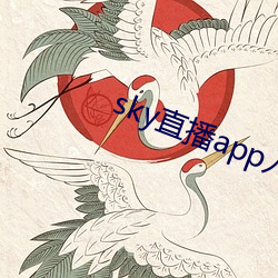 sky直播(播)app入(入)口