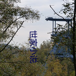 世家小说 （挂件）