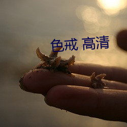 色戒 高清(清)