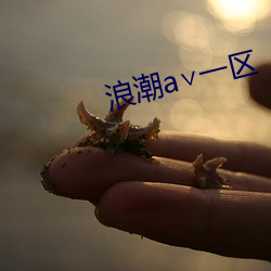 浪潮a一区 孝道）
