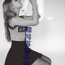 星武神诀小说