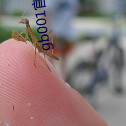 gb001官网(wǎng)安(ān)装