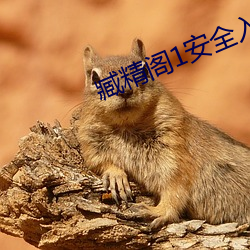 臧精阁1安全入口 （遮丑