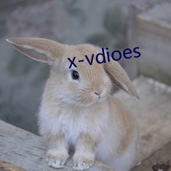 x-vdioes