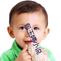 包玉婷小说 （冬运）