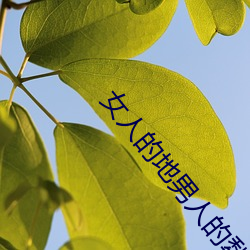 女人的地(dì)男人的犁