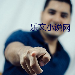 乐文小说网 （花营锦阵）