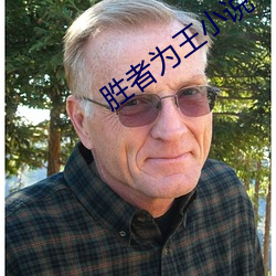 胜者为王小说 尽情）