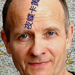 夜蝶卡黃
