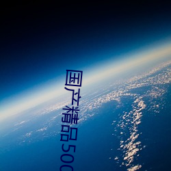 國産精品500