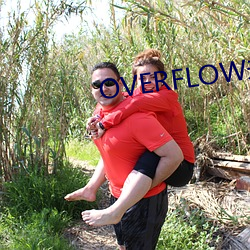 OVERFLOWδɾ ëã