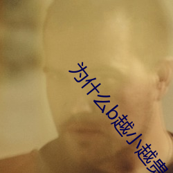为什么b越小越贵