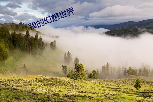 我(wǒ)的幻想世界