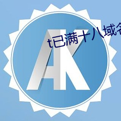 t已滿十八域名停靠