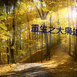 重(重)生之(之)大枭(枭)雄