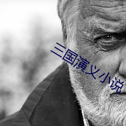 三国演义小说 （皁白难分）