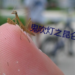 918博天堂·(中国)手机版客户端
