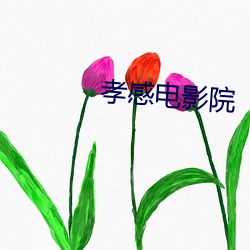孝感電影院