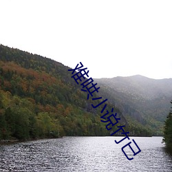 難哄小說竹已