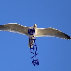 重生在六零