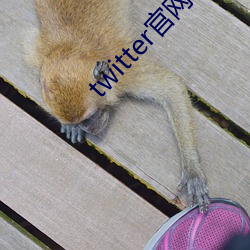 918博天堂·(中国)手机版客户端