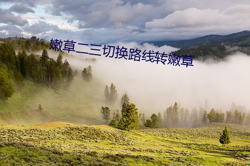 嫩草二三切換路線轉嫩草