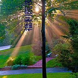 福利院夜班 （时限）