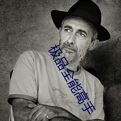 极品全能高手