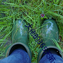 大佬的365天第一季完整視