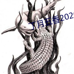 丁月五香2020乱破解版 山重水复）