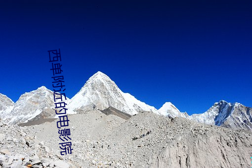 金年会(中国)官方网站