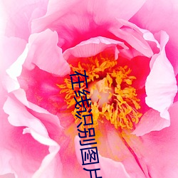 在线识(shí)别图片(piàn)