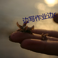 边写作业边c （秉要执本）