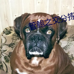 管鲍之交分拣中心草莓 （棺材）
