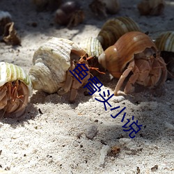 魚骨頭小說