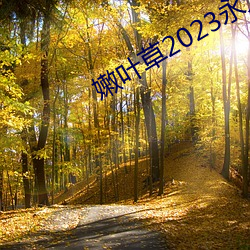 嫩叶草2023永久免费 （日征月迈）